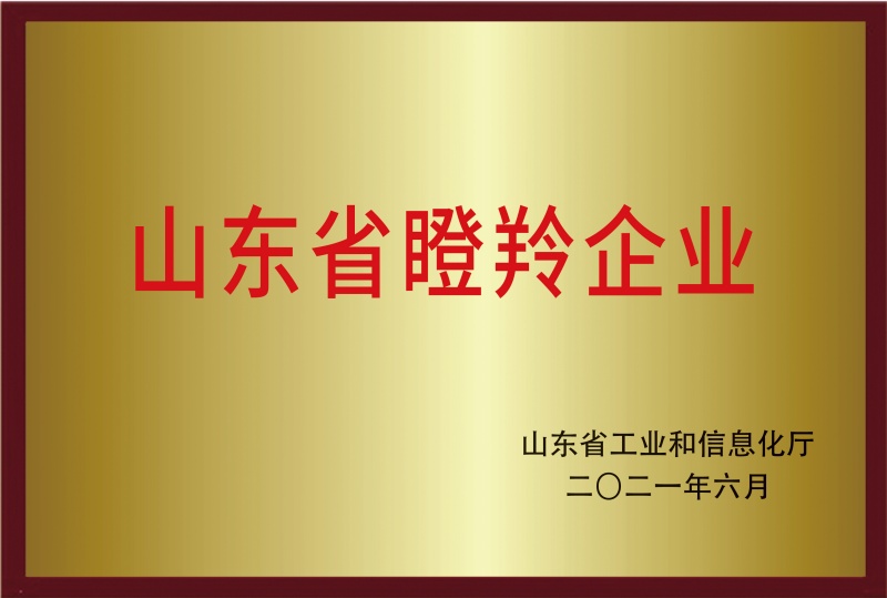 山東省瞪羚企業(yè)